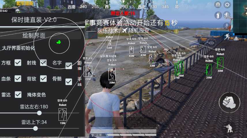 和平精英辅助【飞鸟】